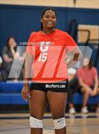 Photo from the gallery "University @ Tamalpais"