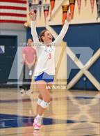 Photo from the gallery "University @ Tamalpais"