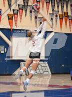 Photo from the gallery "University @ Tamalpais"