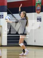 Photo from the gallery "Utica Ford @ Sterling Heights Stevenson"