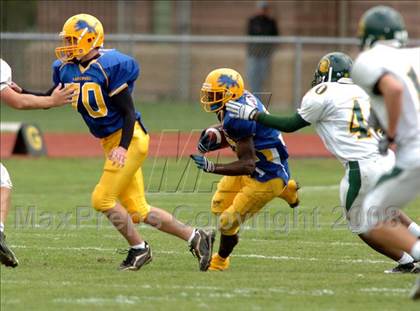 Thumbnail 3 in Williamsville North @ Lockport photogallery.