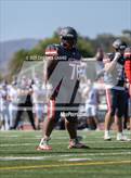 Photo from the gallery "Rancho Cotate @ Redwood"