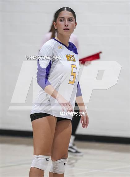 Thumbnail 2 in O'Connor vs. Mesa (House of Payne Tournament) photogallery.