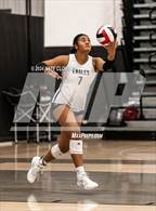 Photo from the gallery "Skyline @ Alta"