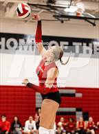 Photo from the gallery "Skyline @ Alta"