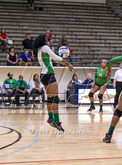 Thumbnail 3 in Houston @ Jefferson photogallery.