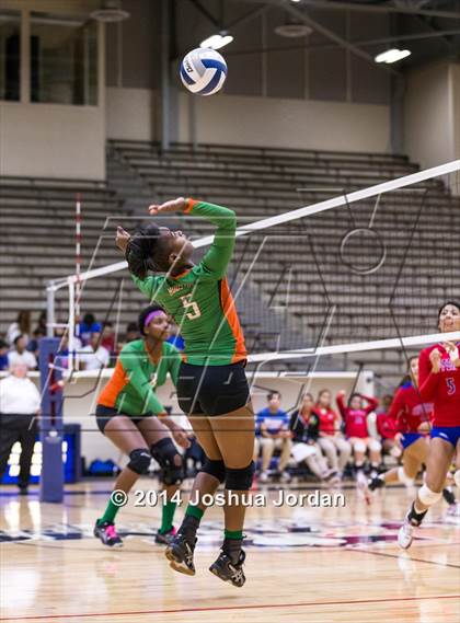 Thumbnail 3 in Houston @ Jefferson photogallery.