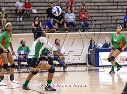 Thumbnail 1 in Houston @ Jefferson photogallery.
