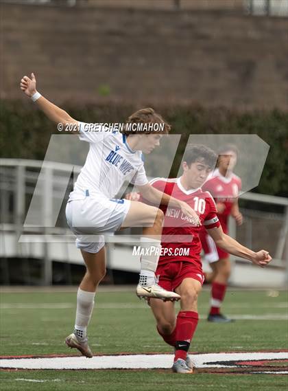 Thumbnail 1 in Darien @ New Canaan photogallery.