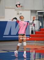 Photo from the gallery "Analy @ Rancho Cotate"