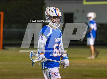 Thumbnail 1 in Bolles @ Buchholz photogallery.