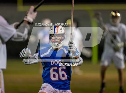 Thumbnail 2 in Bolles @ Buchholz photogallery.