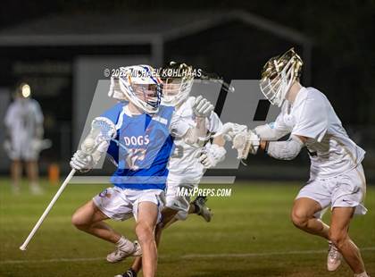 Thumbnail 3 in Bolles @ Buchholz photogallery.
