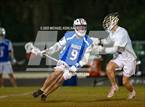 Photo from the gallery "Bolles @ Buchholz"