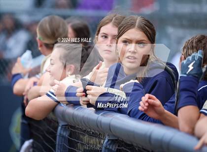Thumbnail 1 in Memphis Central @ Arlington (4A Regional Semifinal) photogallery.