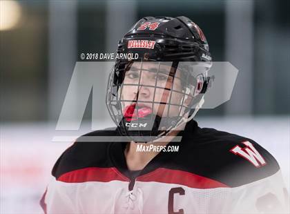 Thumbnail 1 in Natick @ Wellesley photogallery.