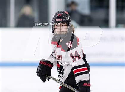 Thumbnail 2 in Natick @ Wellesley photogallery.