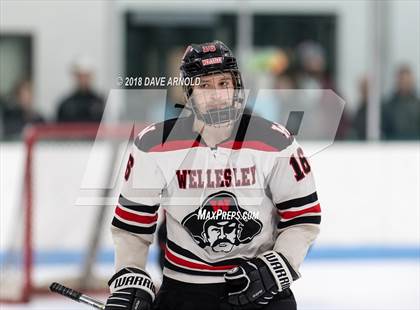 Thumbnail 2 in Natick @ Wellesley photogallery.