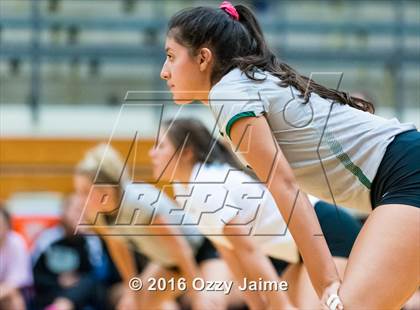 Thumbnail 1 in Reagan @ Brandeis photogallery.