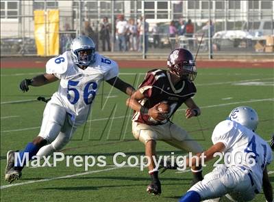 null - Photo 21