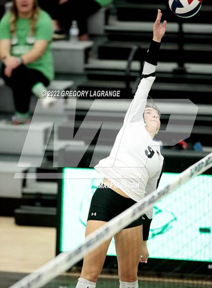 Thumbnail 3 in Braswell vs Guyer photogallery.