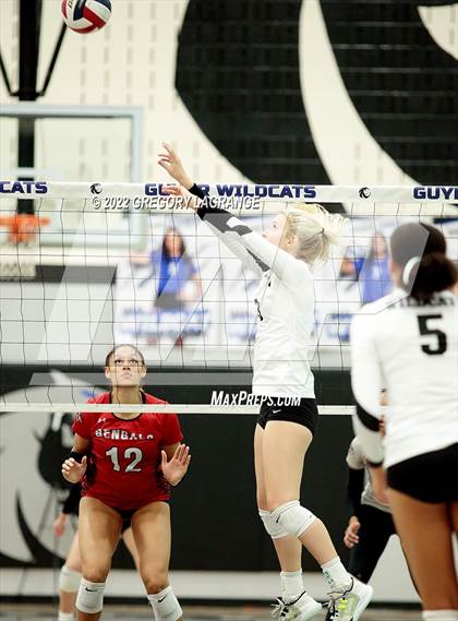 Thumbnail 1 in Braswell vs Guyer photogallery.