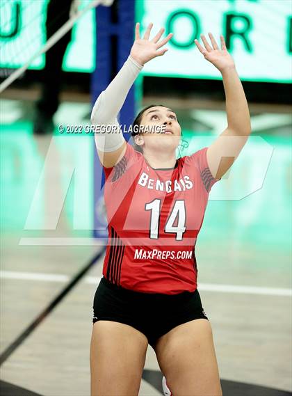 Thumbnail 3 in Braswell vs Guyer photogallery.