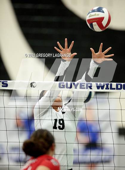 Thumbnail 1 in Braswell vs Guyer photogallery.