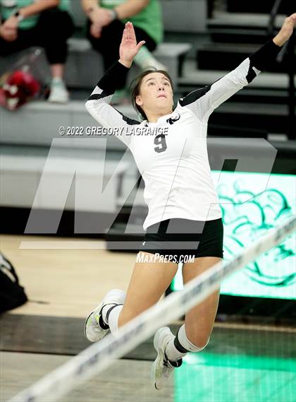 Thumbnail 2 in Braswell vs Guyer photogallery.