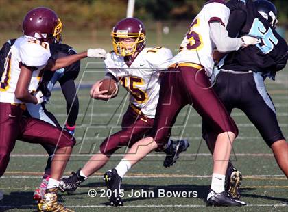 Thumbnail 2 in JV: Hereford @ Western Tech & Environmental Science photogallery.