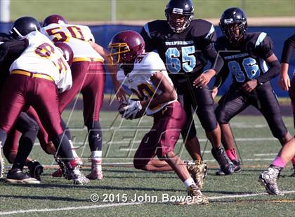 Thumbnail 2 in JV: Hereford @ Western Tech & Environmental Science photogallery.