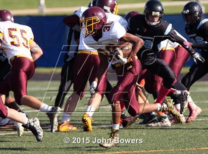 Thumbnail 2 in JV: Hereford @ Western Tech & Environmental Science photogallery.