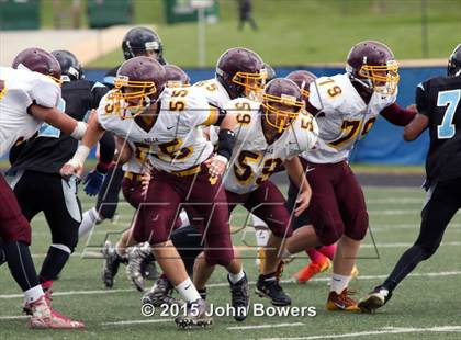 Thumbnail 1 in JV: Hereford @ Western Tech & Environmental Science photogallery.