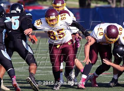 Thumbnail 3 in JV: Hereford @ Western Tech & Environmental Science photogallery.