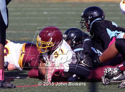 Thumbnail 3 in JV: Hereford @ Western Tech & Environmental Science photogallery.