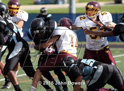 Thumbnail 2 in JV: Hereford @ Western Tech & Environmental Science photogallery.
