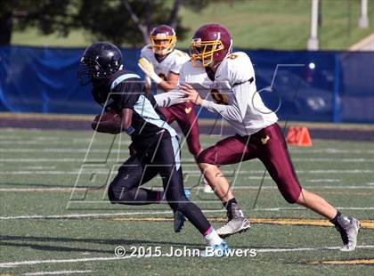 Thumbnail 3 in JV: Hereford @ Western Tech & Environmental Science photogallery.