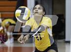 Photo from the gallery "Hixson @ East Ridge"