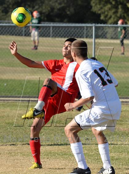 Thumbnail 2 in Lindhurst @ Mesa Verde photogallery.