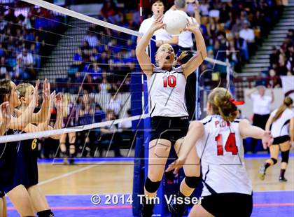 Thumbnail 1 in Paonia vs. Simla (CHSAA 2A Playoff) photogallery.
