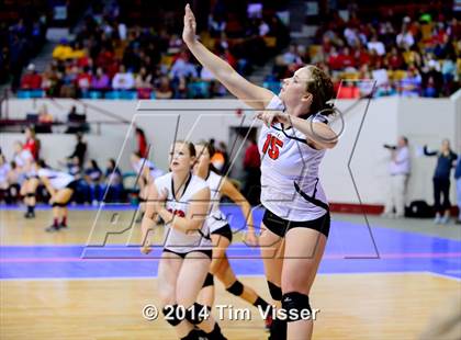 Thumbnail 2 in Paonia vs. Simla (CHSAA 2A Playoff) photogallery.