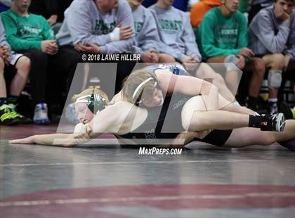 Thumbnail 1 in Rick Lee Wrestling Tournament  photogallery.