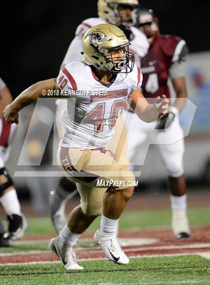 Thumbnail 1 in Terrebonne vs. Destrehan (LHSAA 5A Quarterfinal) photogallery.