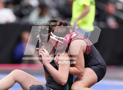 Thumbnail 3 in CHSAA 5A Round 1 photogallery.