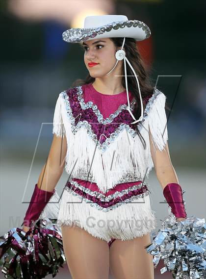 Thumbnail 3 in Lewisville @ Arlington photogallery.