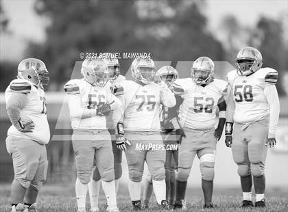 Thumbnail 3 in Chatsworth vs  Poly photogallery.