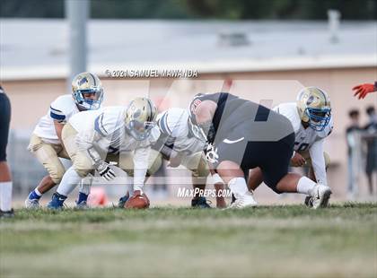 Thumbnail 1 in Chatsworth vs  Poly photogallery.