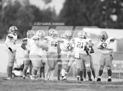 Thumbnail 2 in Chatsworth vs  Poly photogallery.