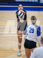 Photo from the gallery "Mountain Home @ Harrison"