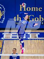 Photo from the gallery "Mountain Home @ Harrison"